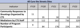 Program Metrics Across All Cure the Streets Sites